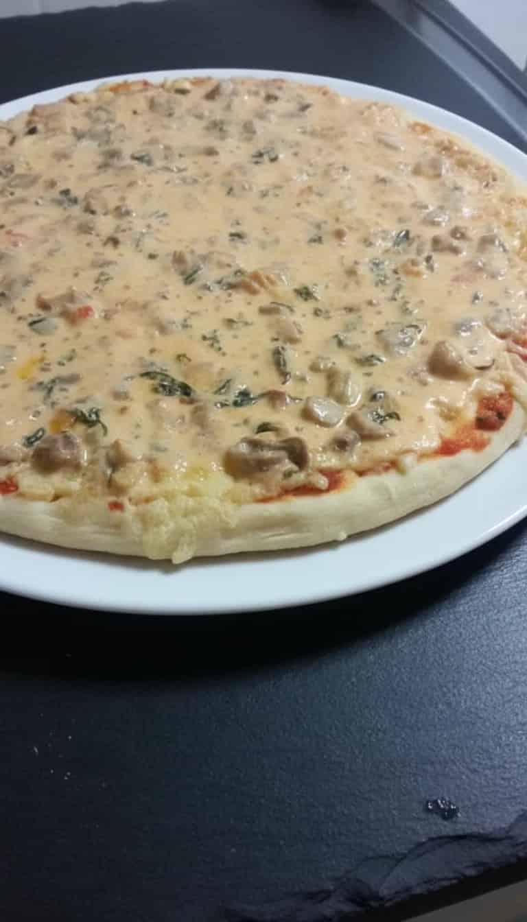 Pizza de EStrogonofe de Frango