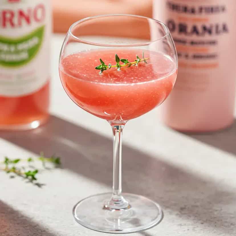 Foto deliciosa de Ades de Melancia com Romã pronta para servir - Sucos & Smoothies