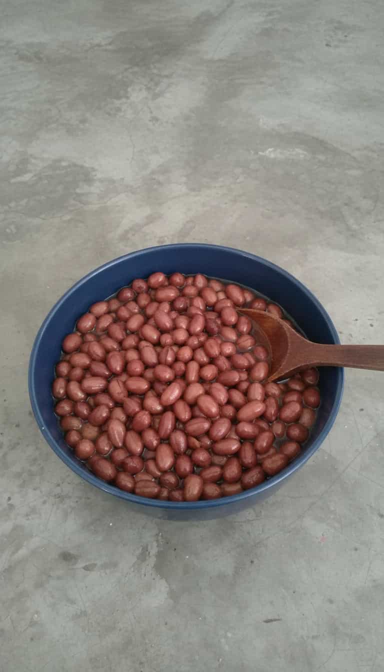 Foto deliciosa de Amendoim Crocante ao Chocolate pronta para servir - Outras Receitas