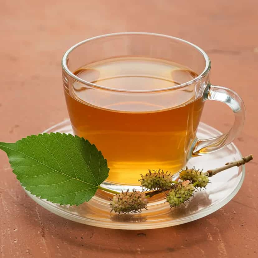 Foto deliciosa de Chá Verde com Amora: Infusão Funcional pronta para servir - Bebidas Quentes