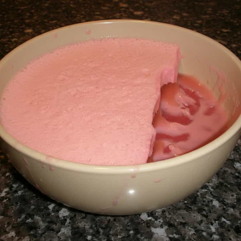 Foto deliciosa de Gelatina Cremosa de Leite pronta para servir - Pudins & Cremes