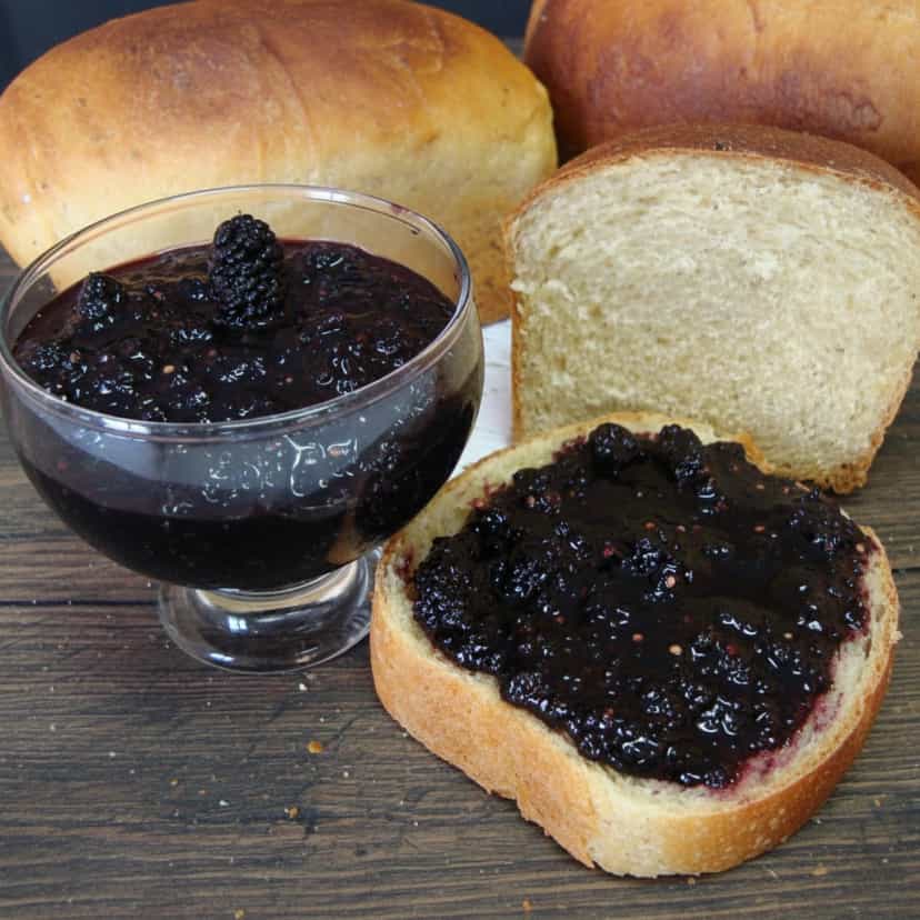 Foto deliciosa de Geleia Cremosa de Amoras pronta para servir - Outras Receitas
