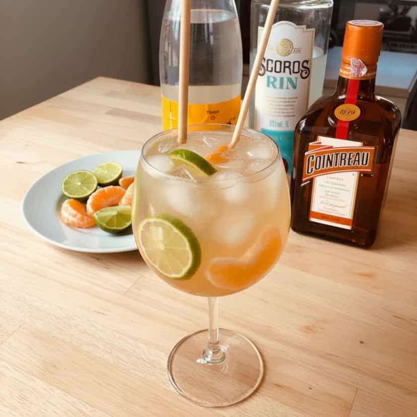 Foto deliciosa de Gin Tônica com Bergamota pronta para servir - Coquetéis
