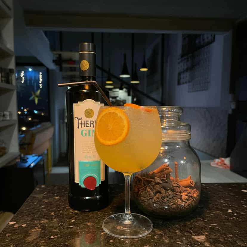 Foto deliciosa de Gin Tônica com Especiarias pronta para servir - Coquetéis
