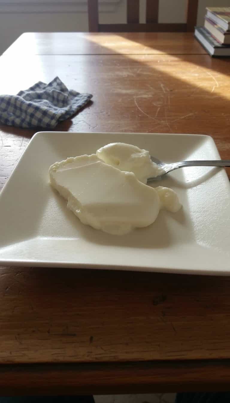 Foto deliciosa de Iogurte Grego Caseiro Simples pronta para servir - Outras Receitas