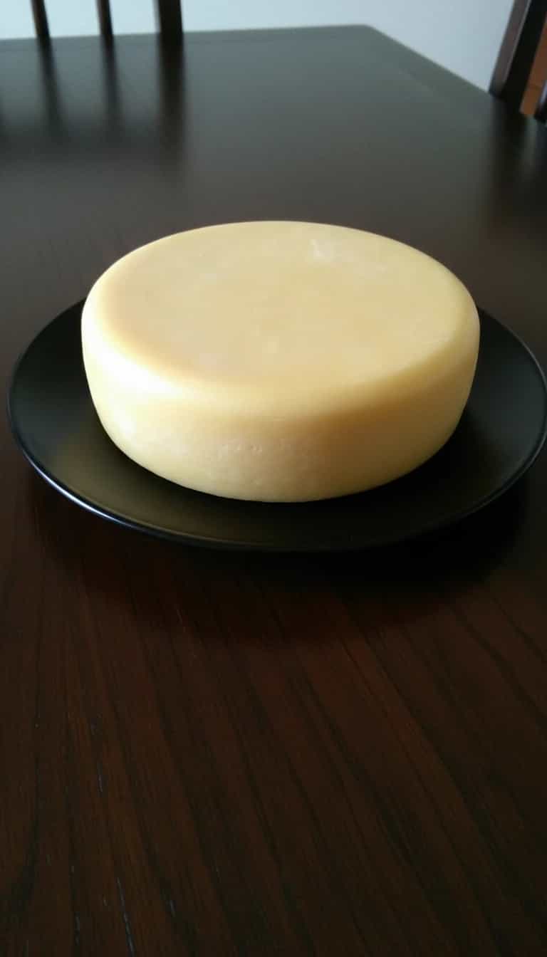Foto deliciosa de Queijo Mussarela Caseiro pronta para servir - Outras Receitas