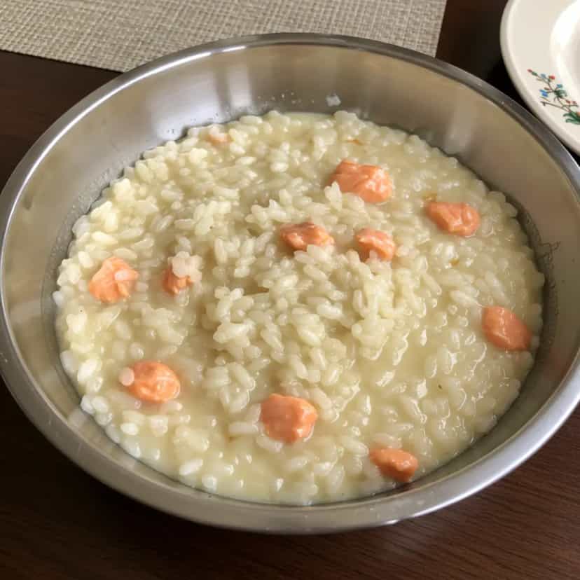 Foto deliciosa de Risoto Cremoso de Salmão pronta para servir - Peixes & Frutos do Mar