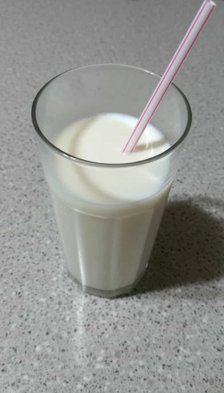 Foto deliciosa de Suco Cremoso de Jaca pronta para servir - Sucos & Smoothies