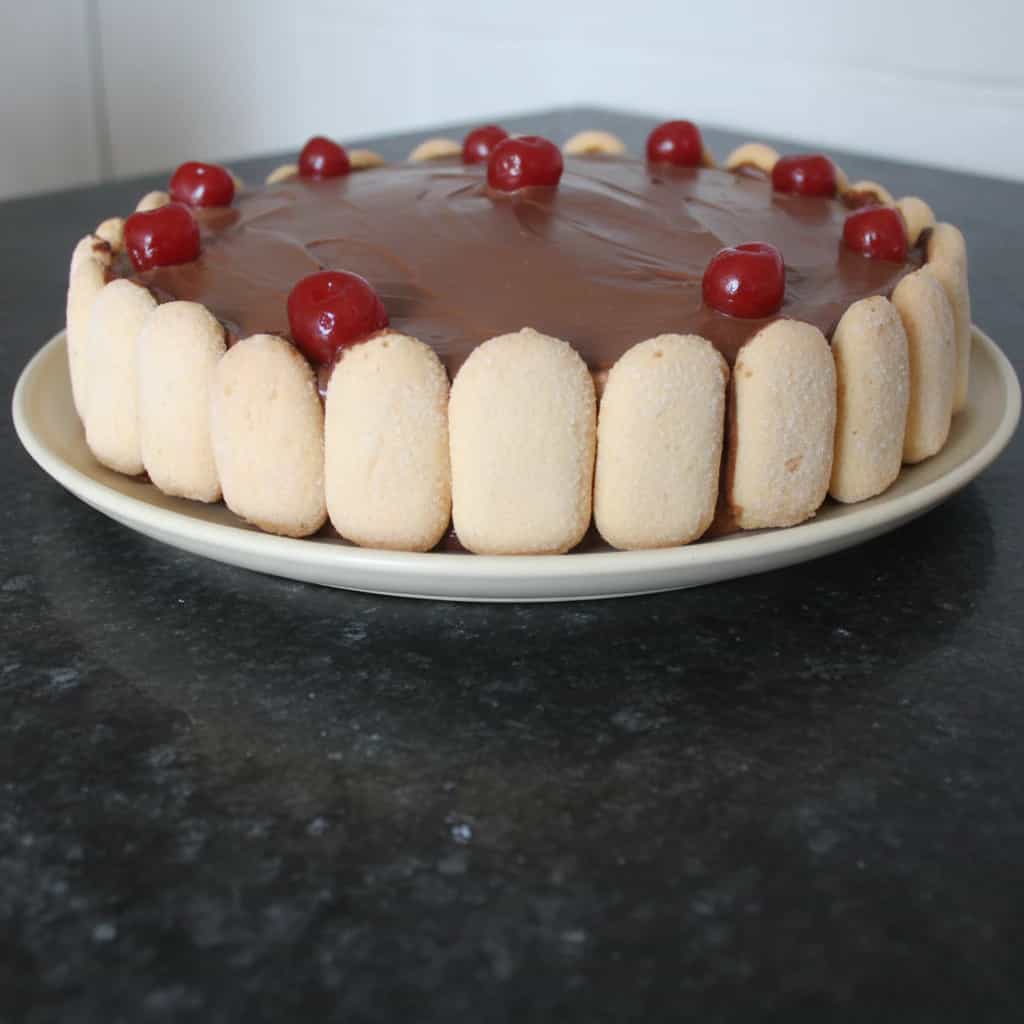 Torta de Mousse Dupla