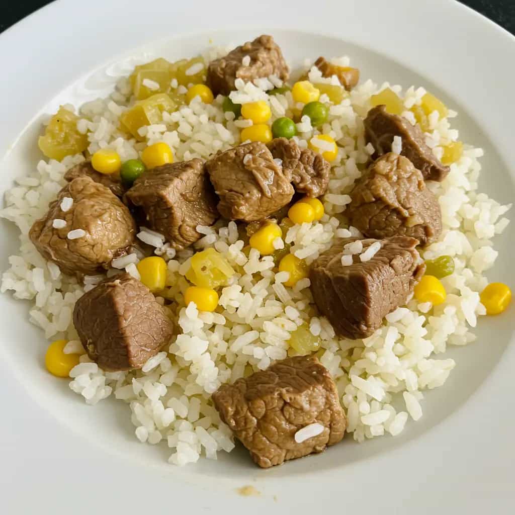 Carne de panela fácil e rápida na panela de pressão