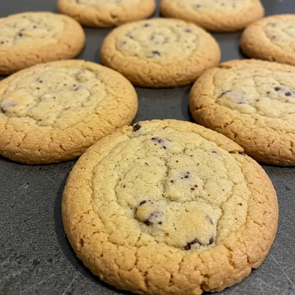 Cookies de Chocolate com Aveia