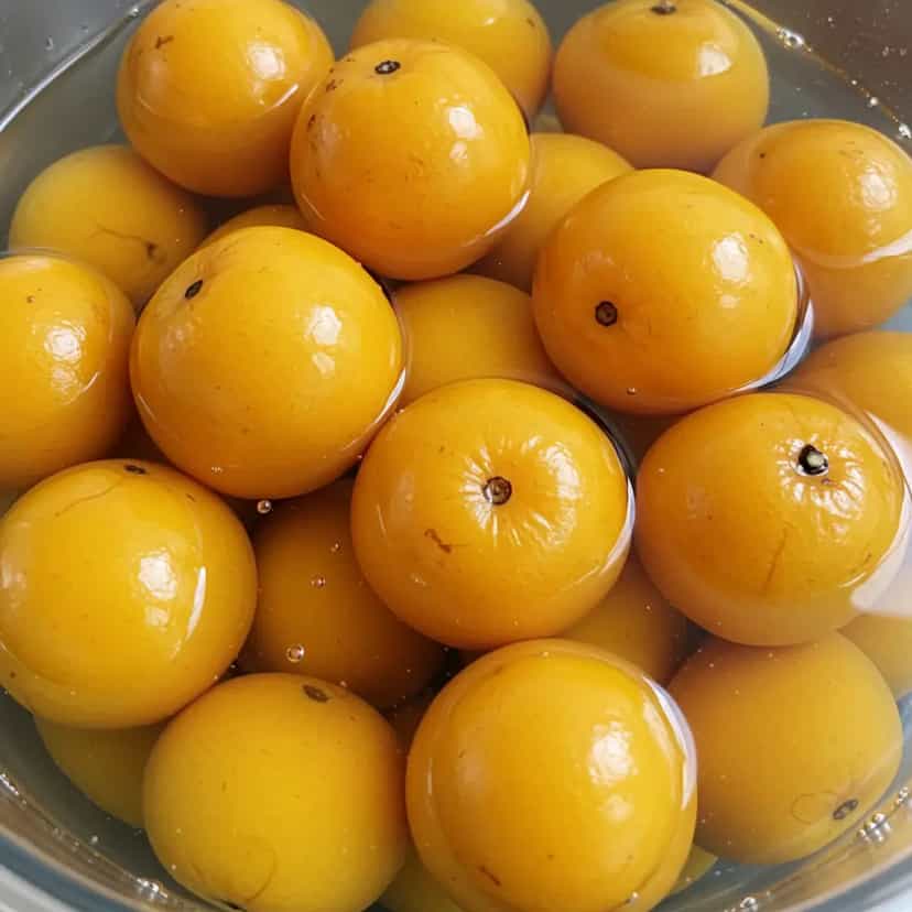 Foto deliciosa de Licor de Butiá pronta para servir - Bebidas Brasileiras