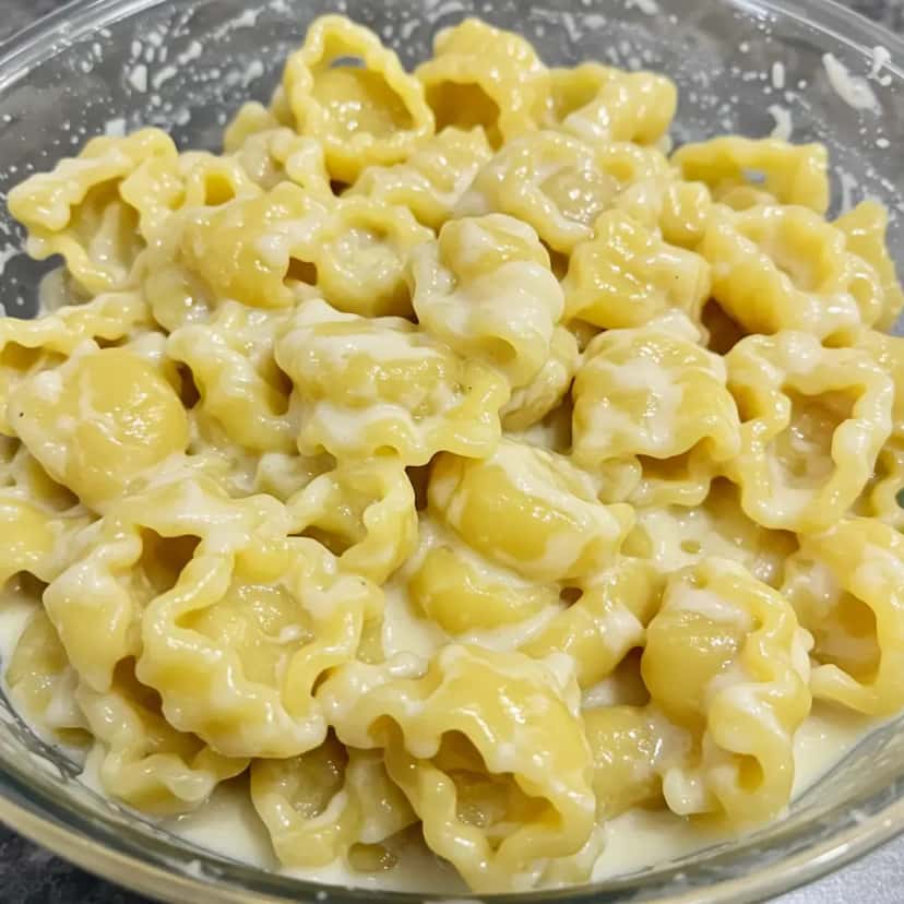 Macarrão Alfredo Nutritivo
